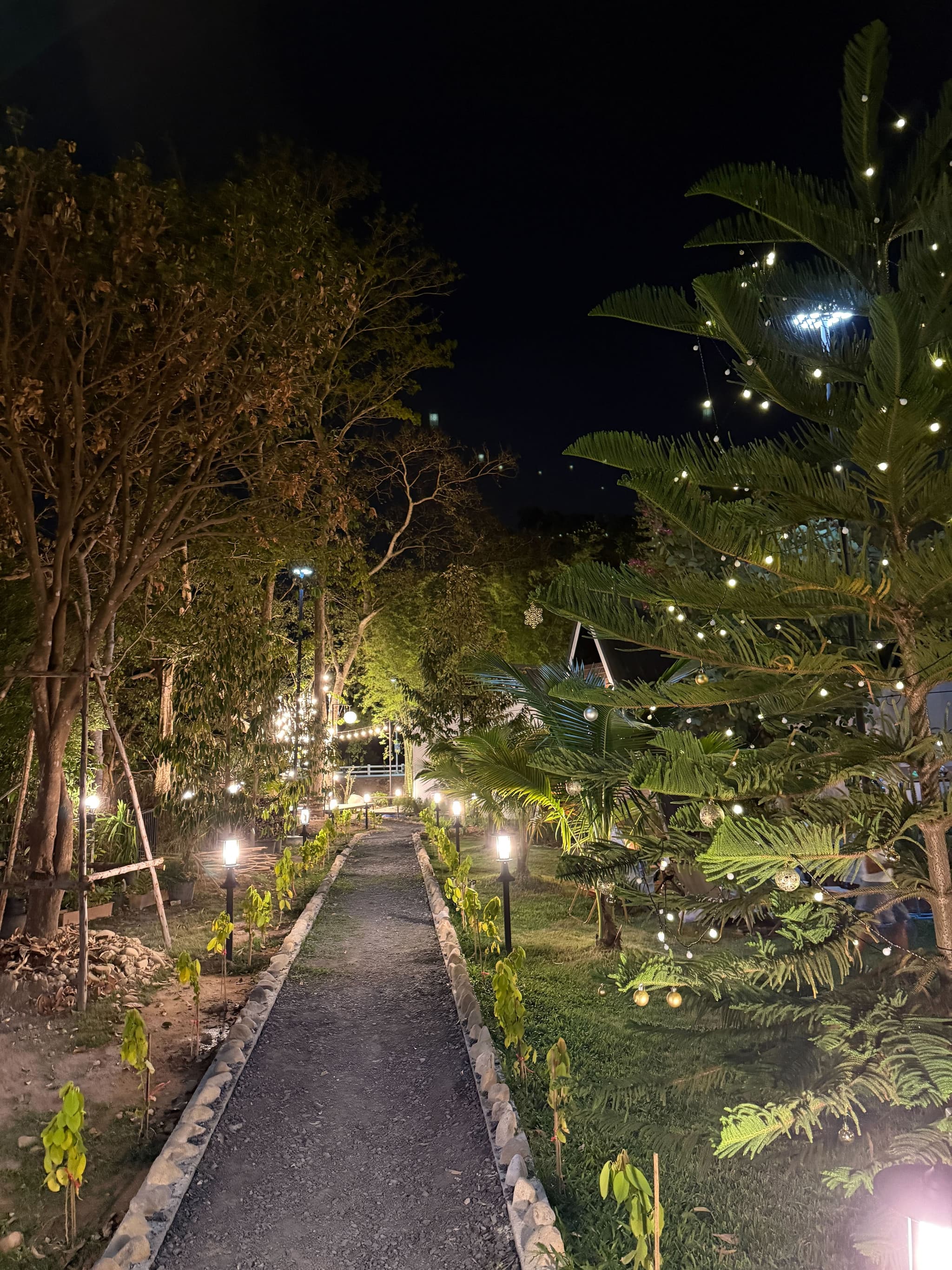 บรรยากาศยามค่ำสุดโรแมนติก